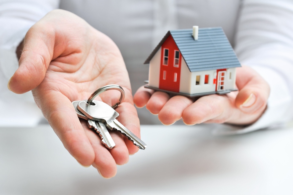 immobilier